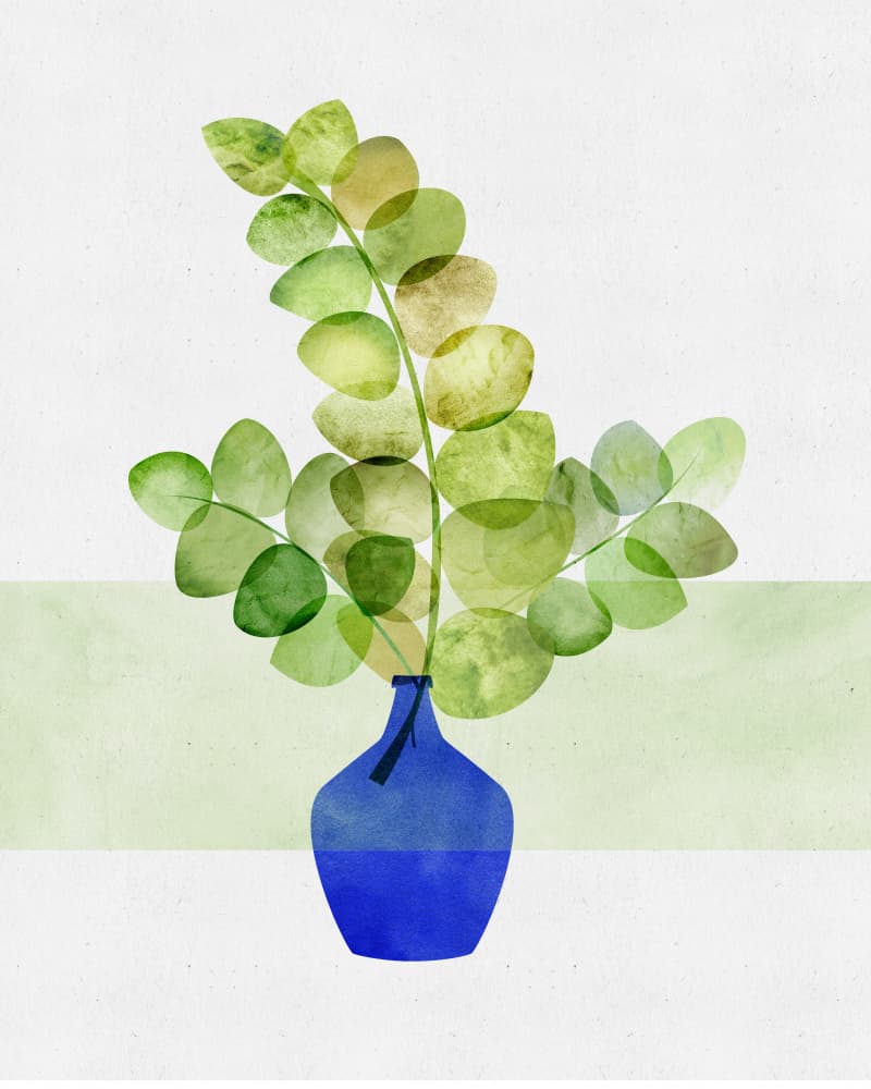 Eucalyptus Houseplant Illustration by Kristian Gallagher — canvas wall art