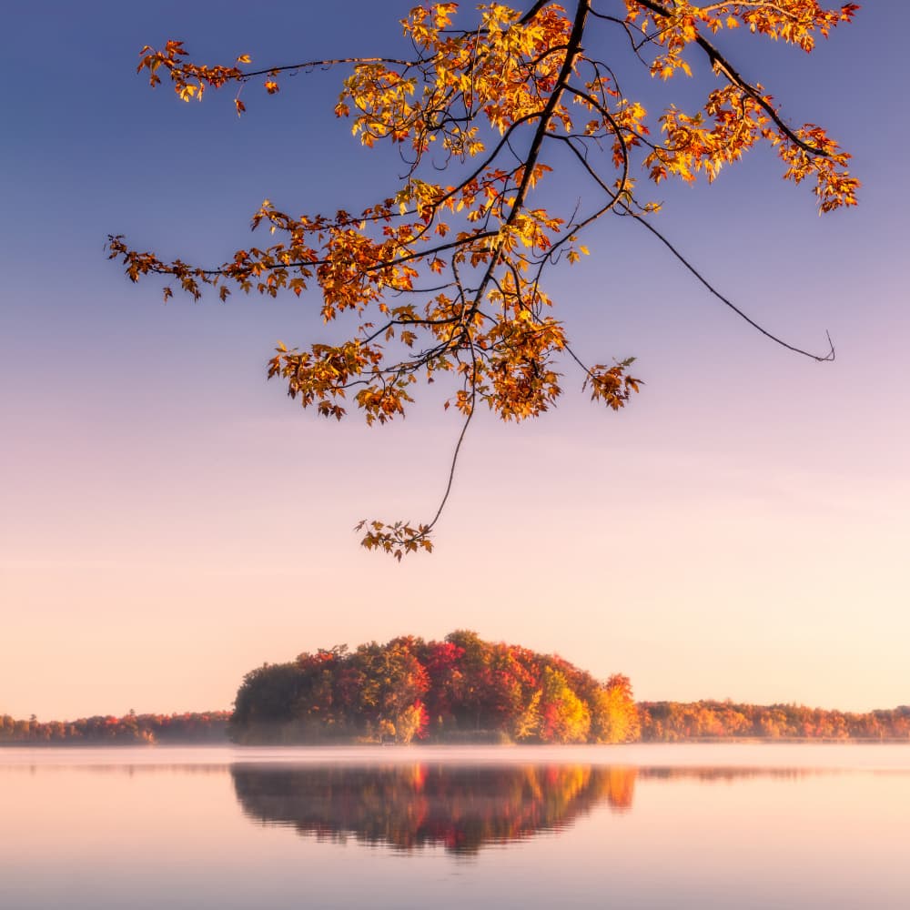 Golden Autumn Lake Reflection by Steven Zhou — canvas wall art