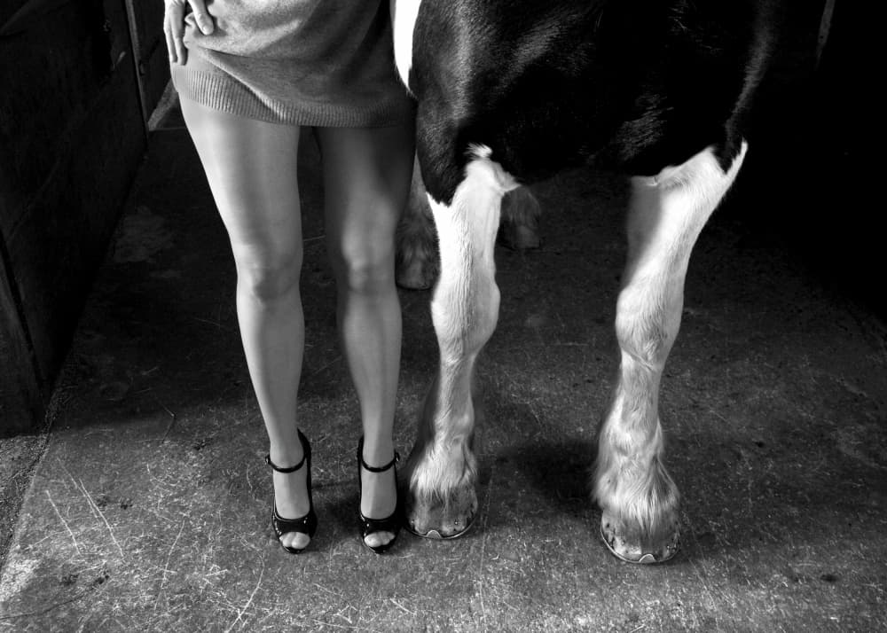 Horse and High Heels by Hans Repelnig — canvas wall art