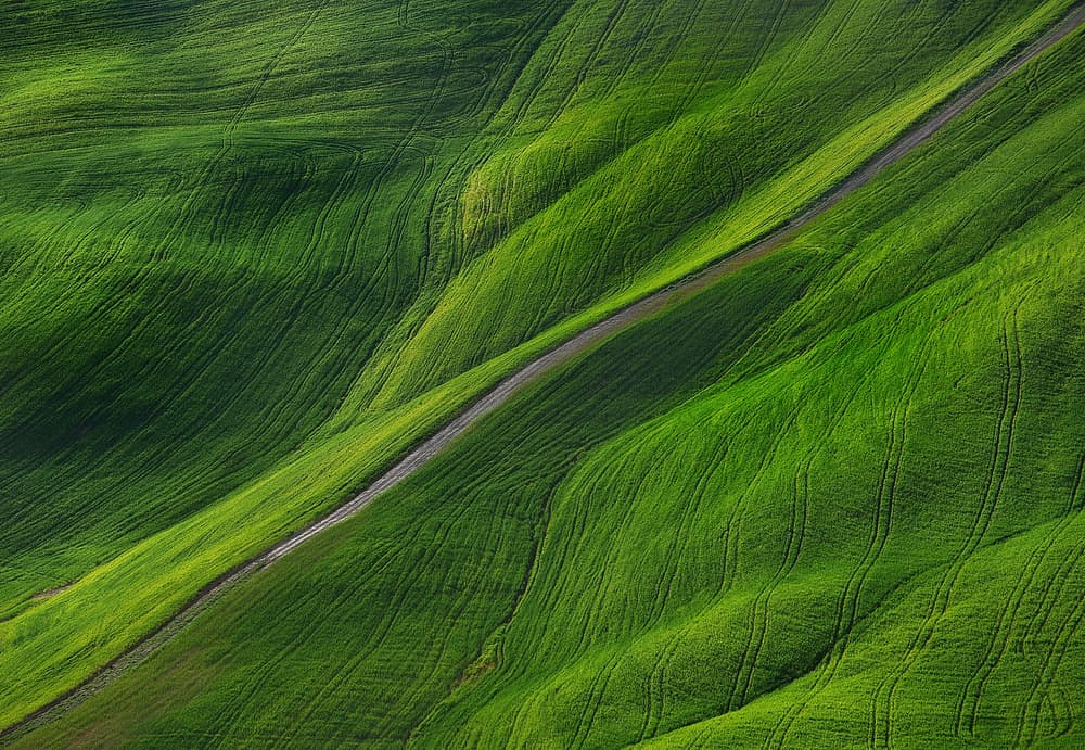 Winding Green Fields by Claudio Moretti — canvas wall art