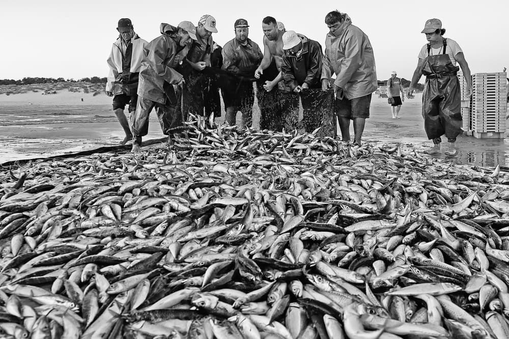 Fishermen's Big Catch by Josefina Melo — canvas wall art