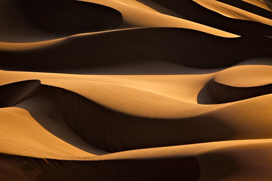 Golden Desert Dunes by Mohammadreza Momeni — canvas wall art