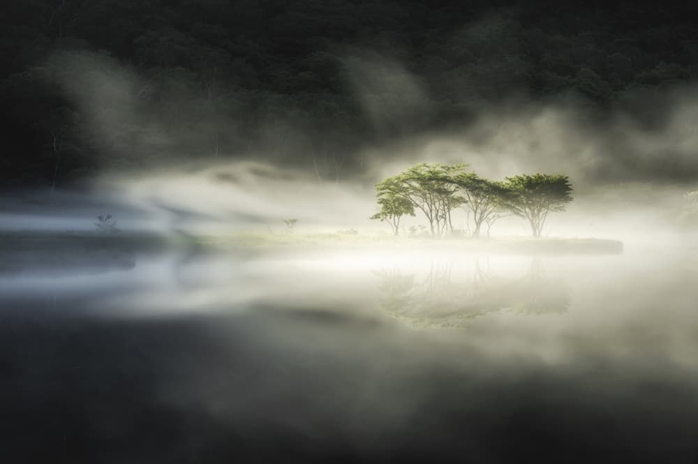 Misty Island Trees Reflection by Daiki Suzuki — canvas wall art