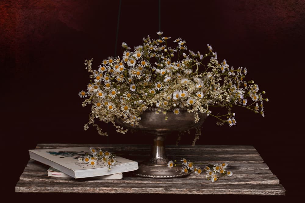 Chamomile and Old Books by Juan Antonio Palacios — canvas wall art
