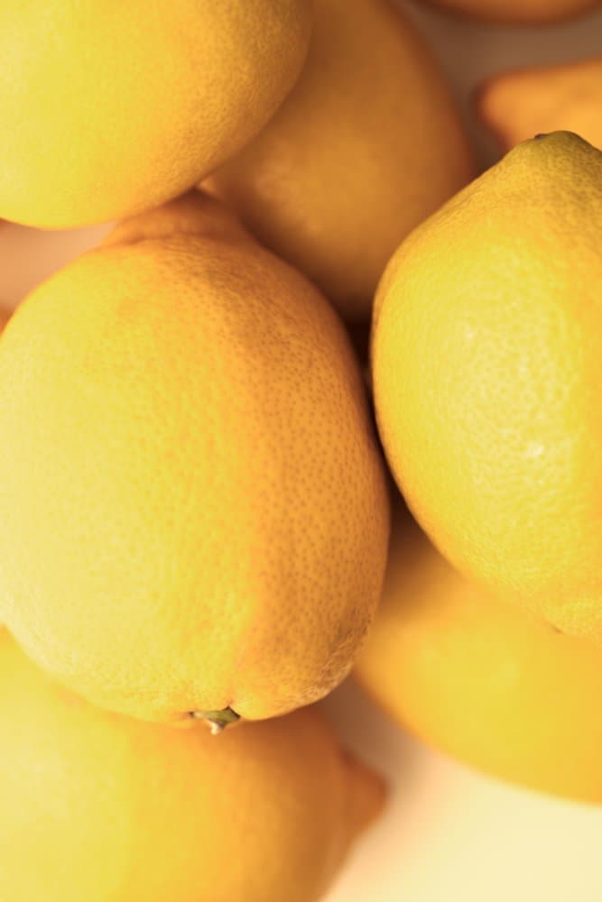 Bright Yellow Lemons by Pictufy Studio III — canvas wall art