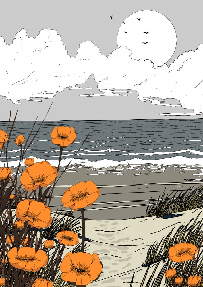 Orange Poppies Beach Moon by Nicholas — canvas wall art
