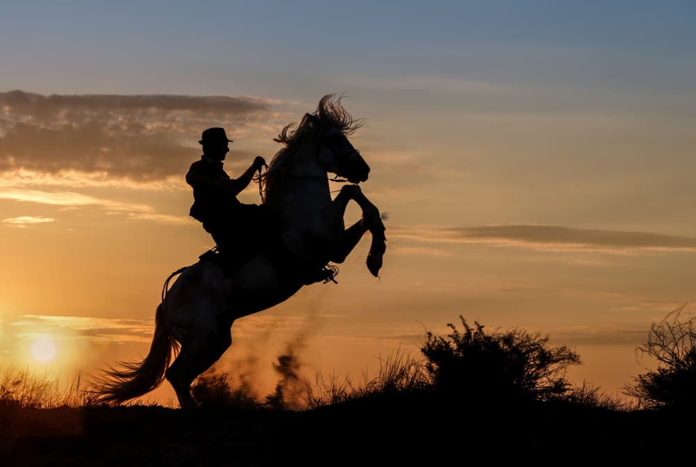 Rearing Horse Sunset by Marketa Zvelebil PhD LRPS CrGP. — canvas wall art