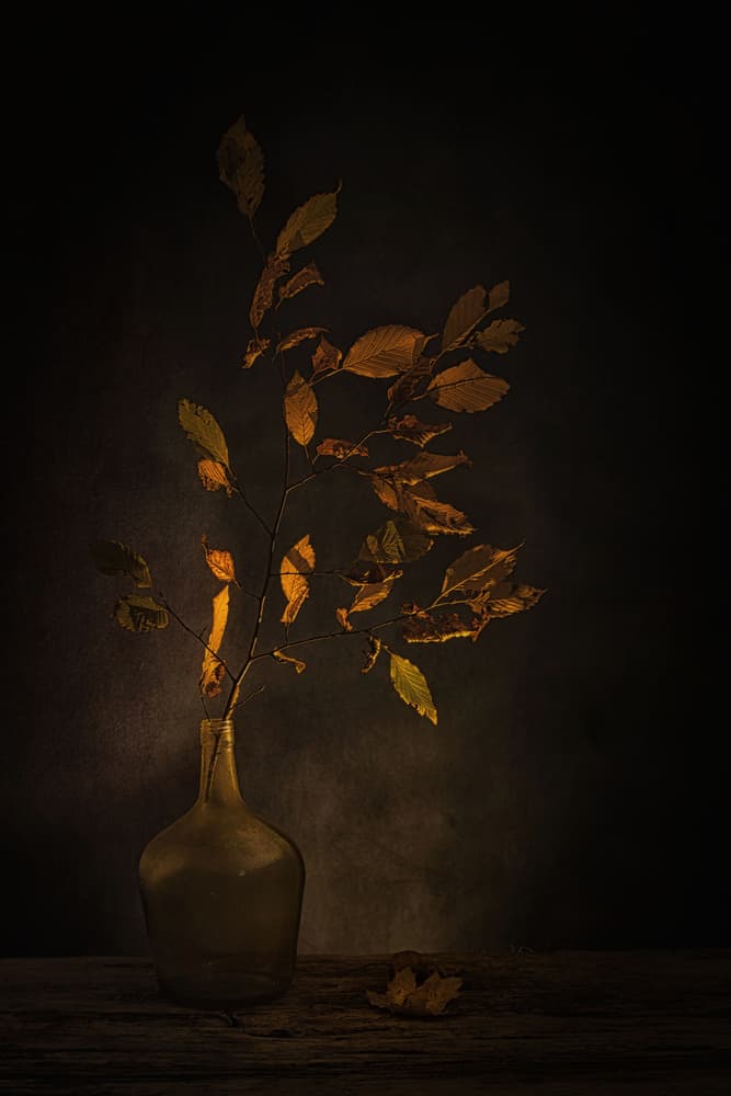 Moody Autumn Leaves by Saskia Dingemans — canvas wall art