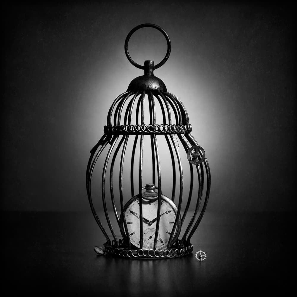 Time In Cage by Victoria Glinka — canvas wall art