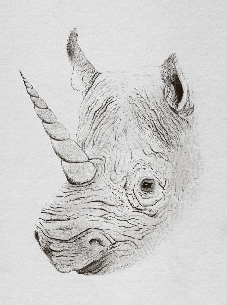 Mythical Rhino Portrait by Florent Bodart — canvas wall art