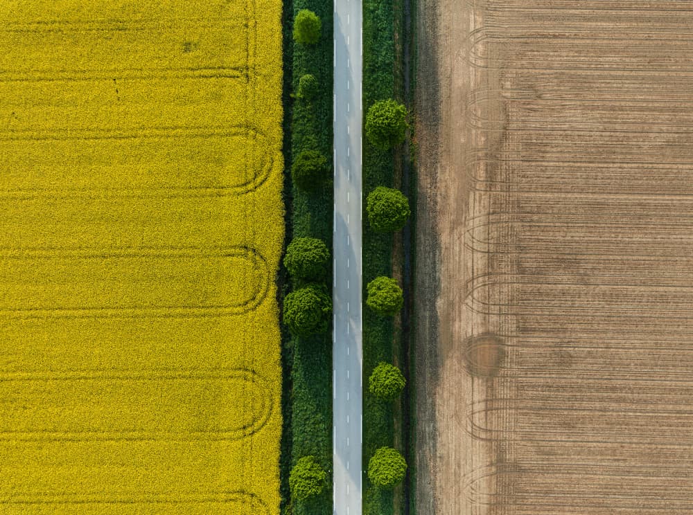 Fields and Country Road by Jure Kravanja — canvas wall art