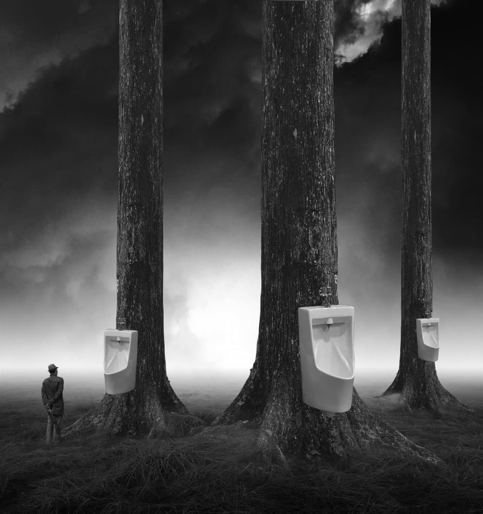 Surreal Urinal Forest by Hari Sulistiawan — canvas wall art