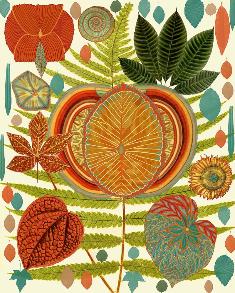Vibrant Botanical Forms by giovanna nicolo — canvas wall art