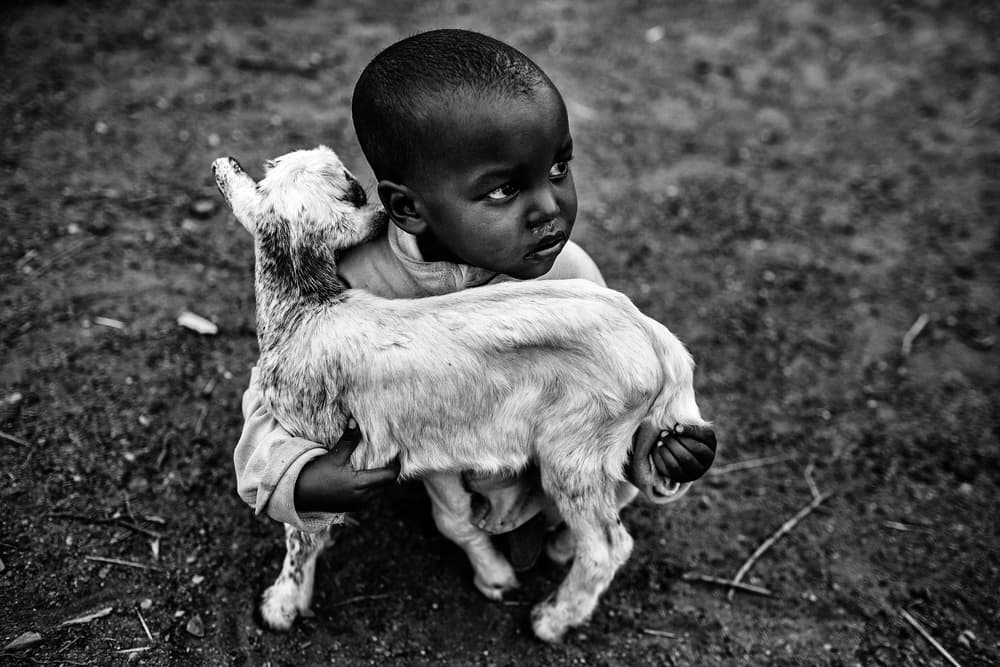 Young Boy and Goat Kid by Vedran Vidak — canvas wall art