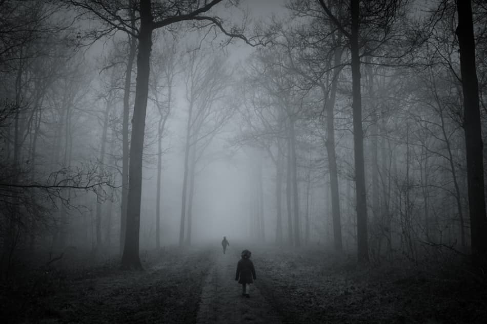 Child in Foggy Forest by Mirjam Delrue — canvas wall art