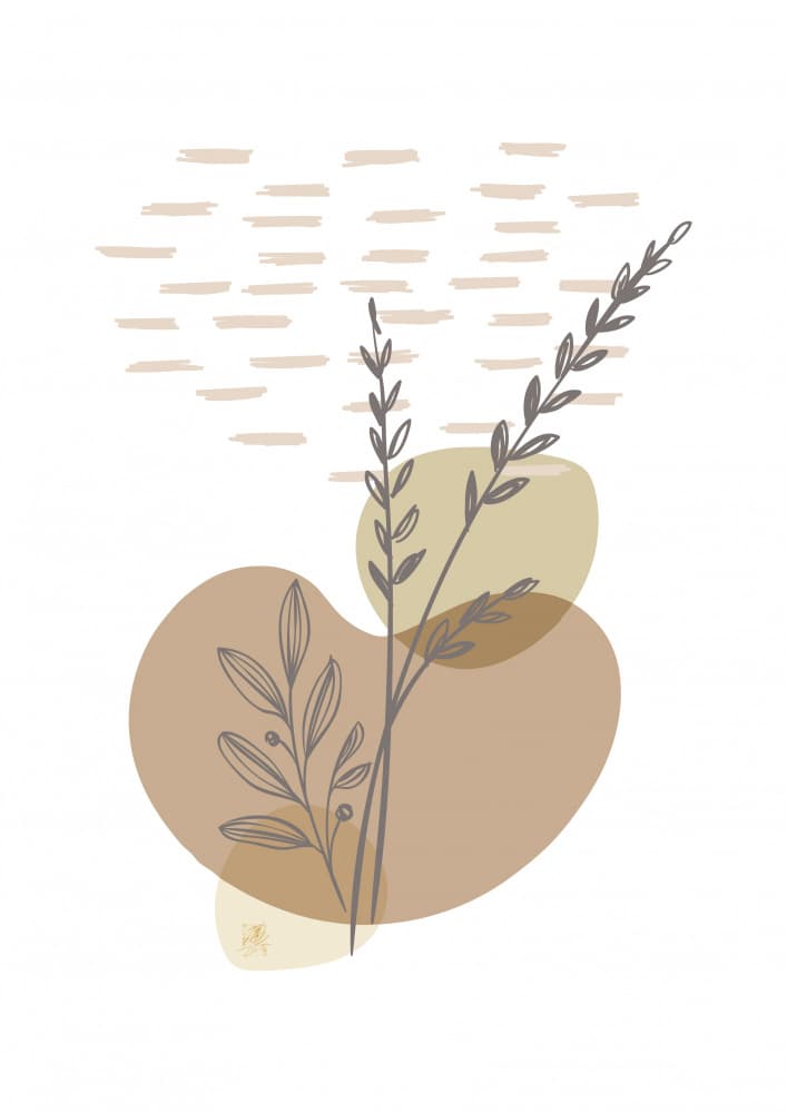 Neutral Botanical Forms by Osvaldo Russo — canvas wall art