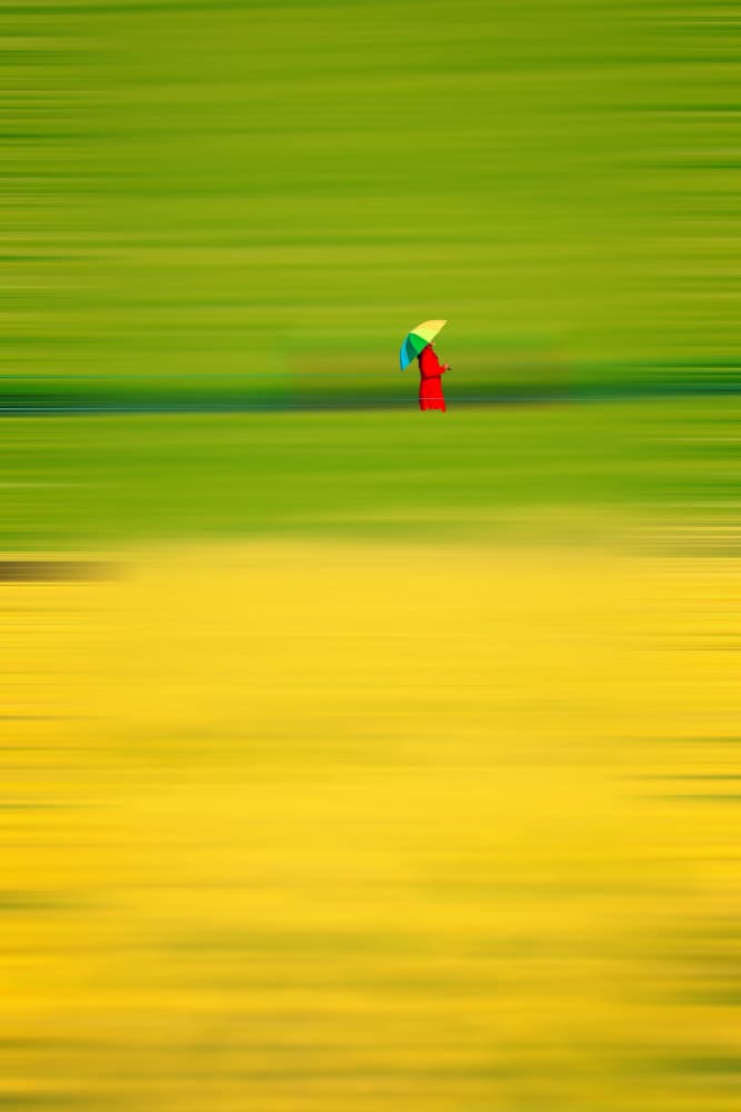 Colorful Umbrella Fields by Kim gyou-pyo — canvas wall art