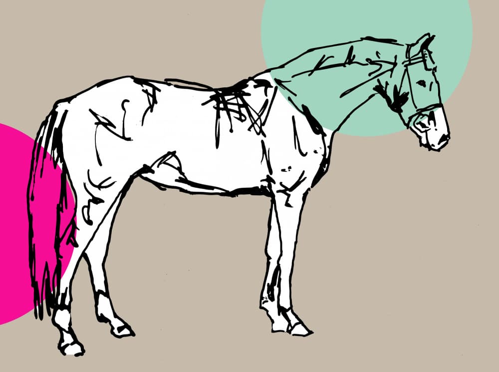Stylish Horse Outline by casa cartissi — canvas wall art