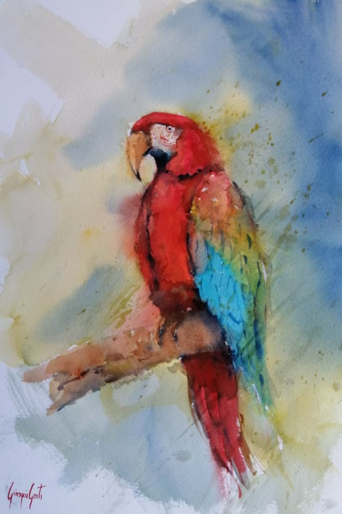 Vibrant Red Macaw by Giorgio Gosti — canvas wall art