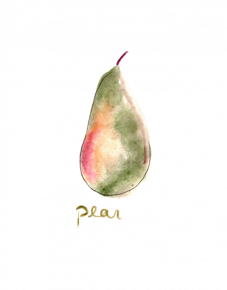 Green Watercolor Pear by Christine Lindstrom — canvas wall art