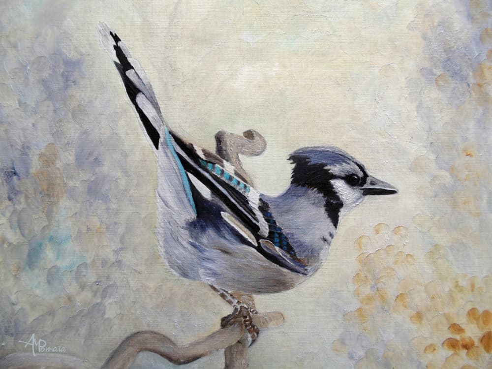 Blue Jay Perched by Angeles M. Pomata — canvas wall art