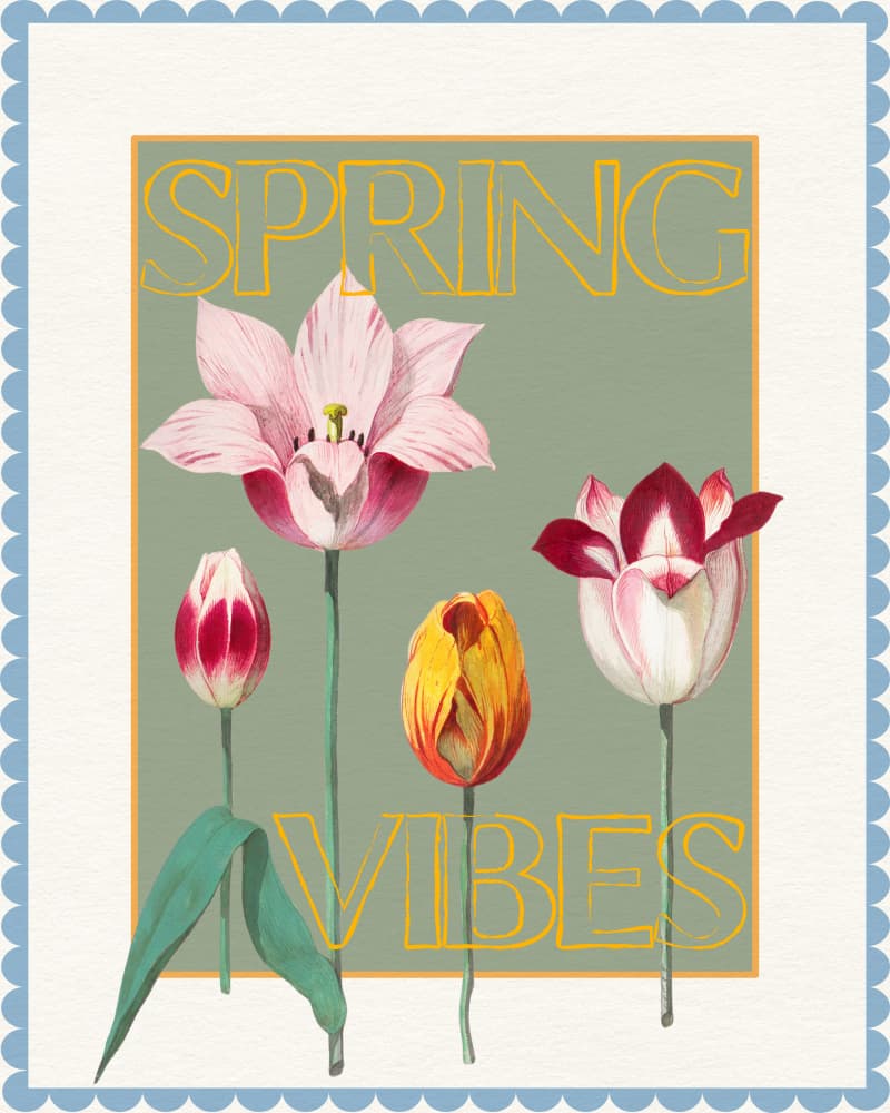 Spring Tulips Vibes by Wild Violets — canvas wall art