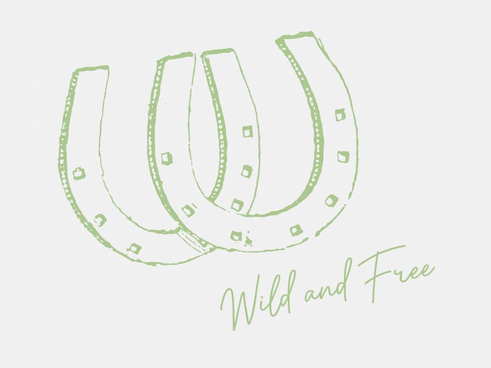 Wild Free Horseshoes by Jolly and Dash — canvas wall art