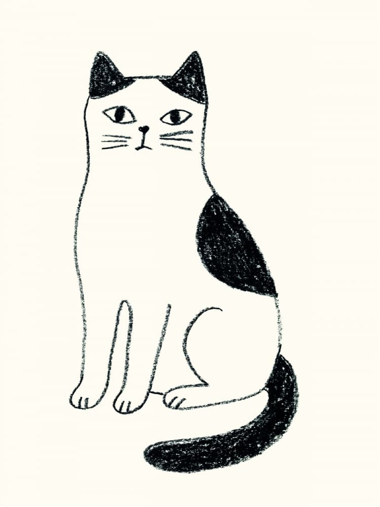 Minimalist Sitting Cat by Silvia Visscher — canvas wall art