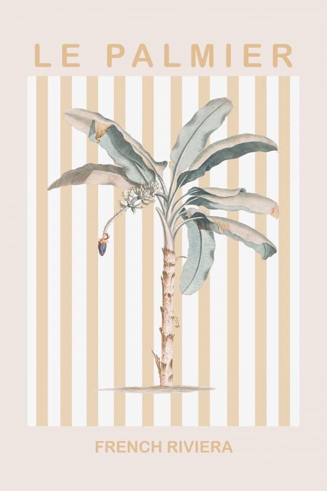 French Riviera Palm by Talitha McQueen — canvas wall art
