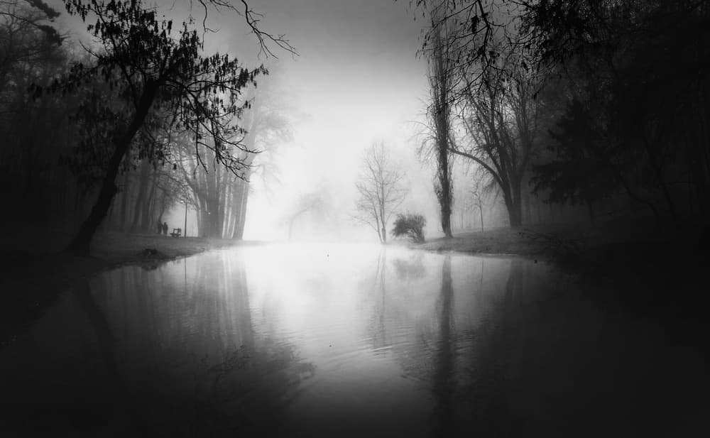 Misty Forest Lake by Catalin Alexandru — canvas wall art