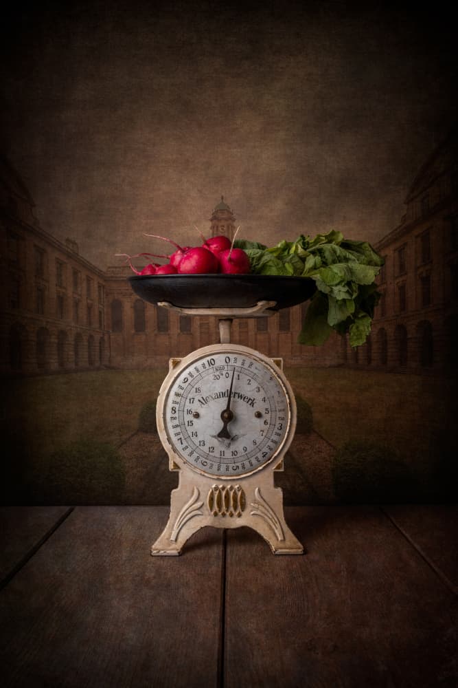 Fresh Radishes Antique Scale by Marko Klavs — canvas wall art
