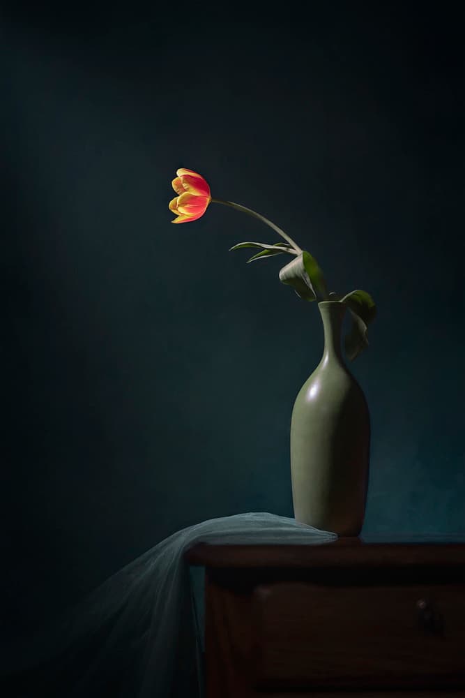 Dark Floral Still Life by Lydia Jacobs — canvas wall art