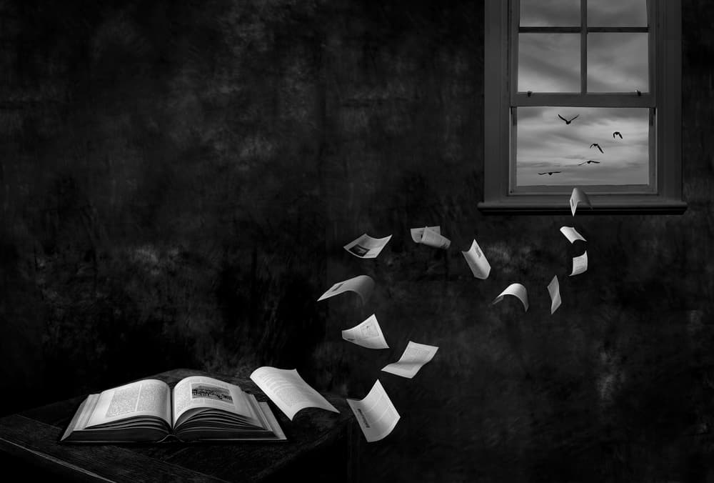 Flight of Ideas by Jocelyn Manning — canvas wall art