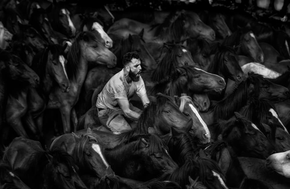 Man Among Wild Horses by Alfonso maseda varela — canvas wall art