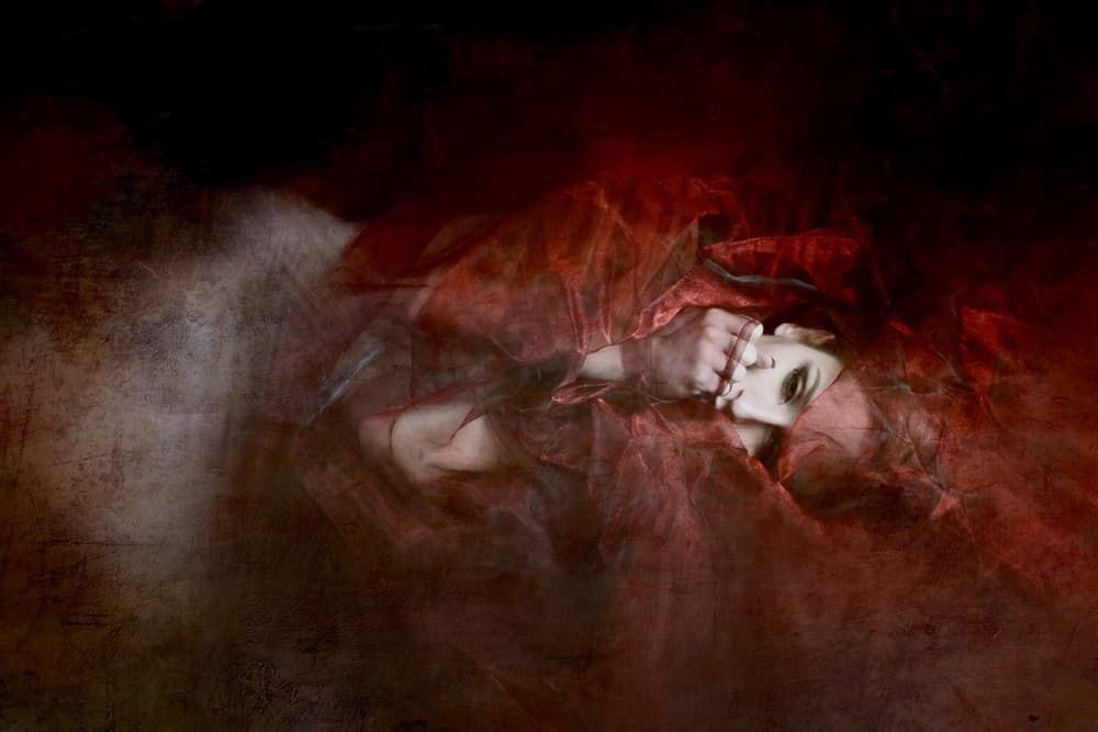 Red Veiled Portrait by Olga Mest — canvas wall art