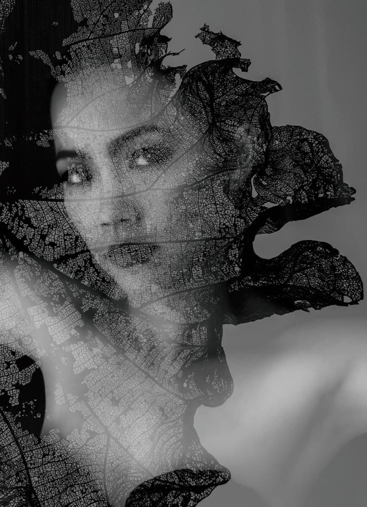 Natural Leaf Portrait by Erik Schottstaedt — canvas wall art