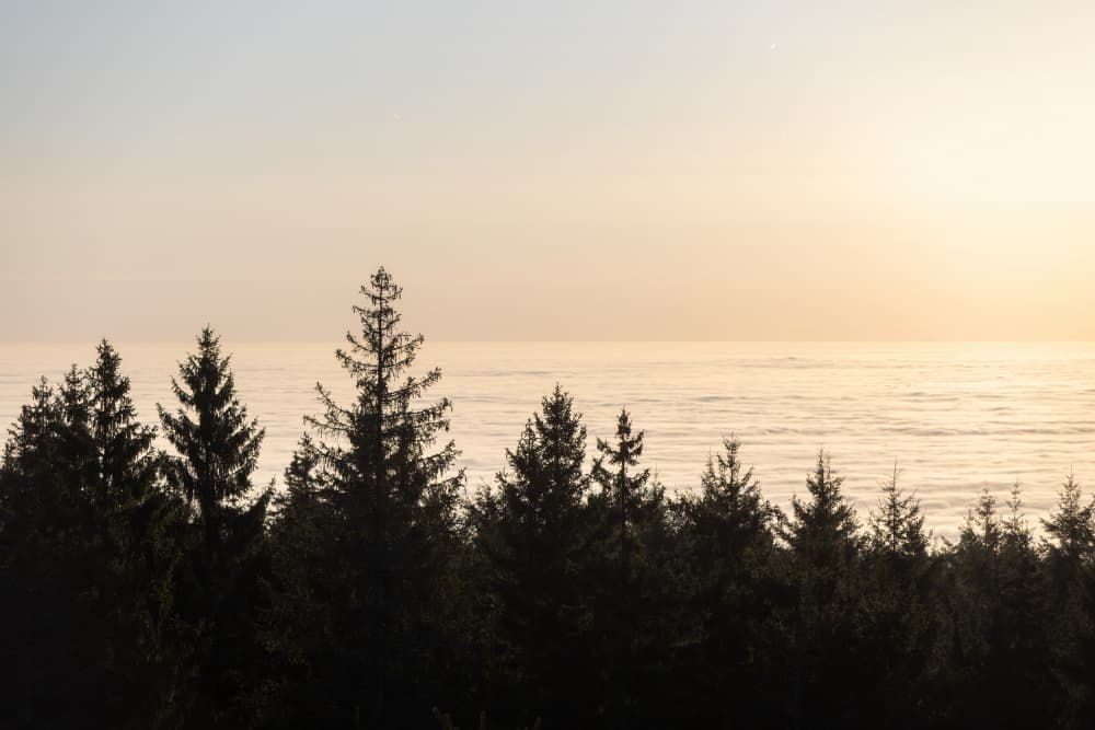 Golden Hour 2 by Mareike Böhmer — canvas wall art