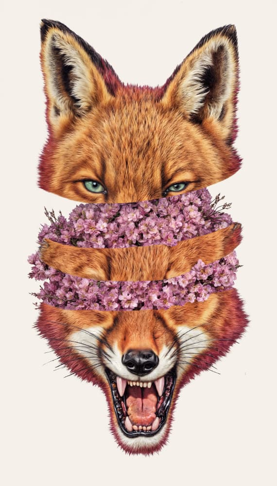 Fierce Fox Bloom by Robert Farkas — canvas wall art