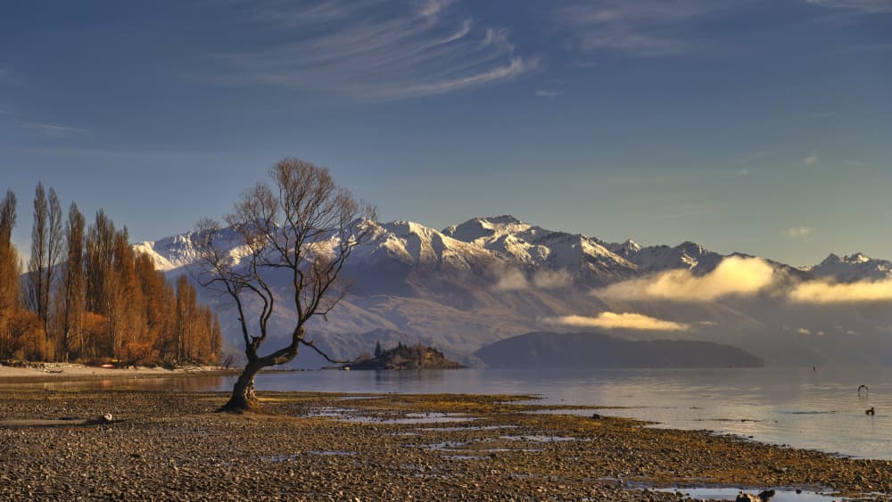 Lone Tree Winter Reflections by Emanuel Papamanolis — canvas wall art