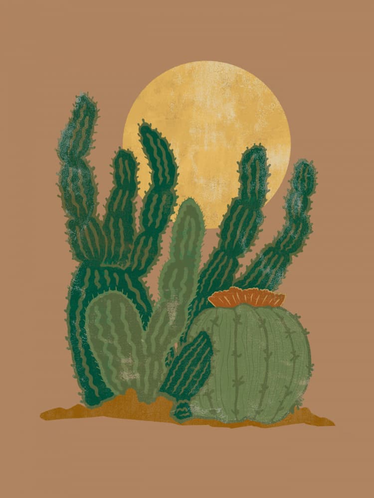Desert Cacti Moon by Nikita Jariwala — canvas wall art