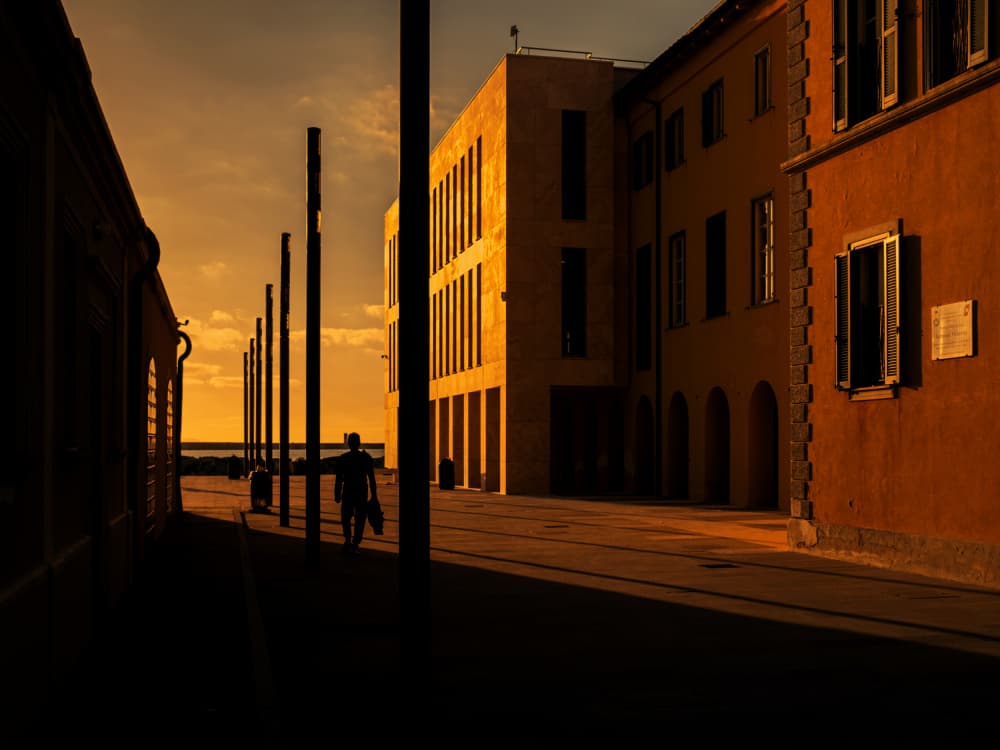 Golden Hour Walk by Massimo Della Latta — canvas wall art