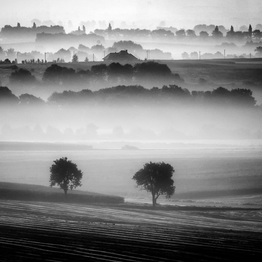Misty Morning Landscape by Piotr Krol (Bax) — canvas wall art