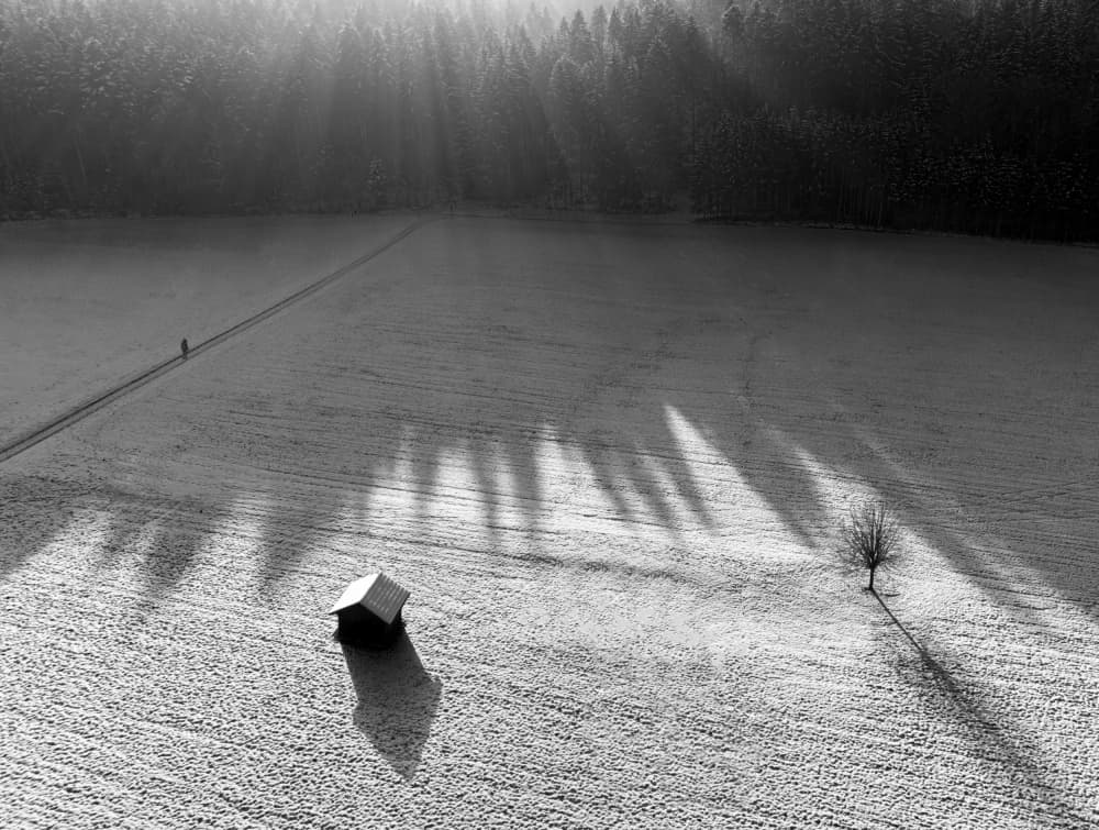 Winter Field Solitude by Streiff Marcel — canvas wall art