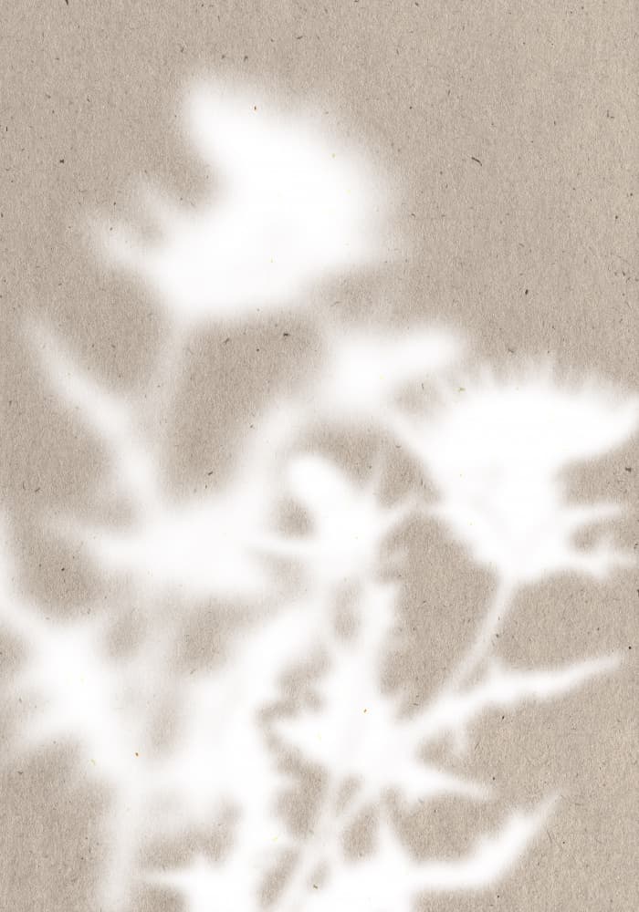 Soft Botanical Shadows by THE MIUUS STUDIO — canvas wall art