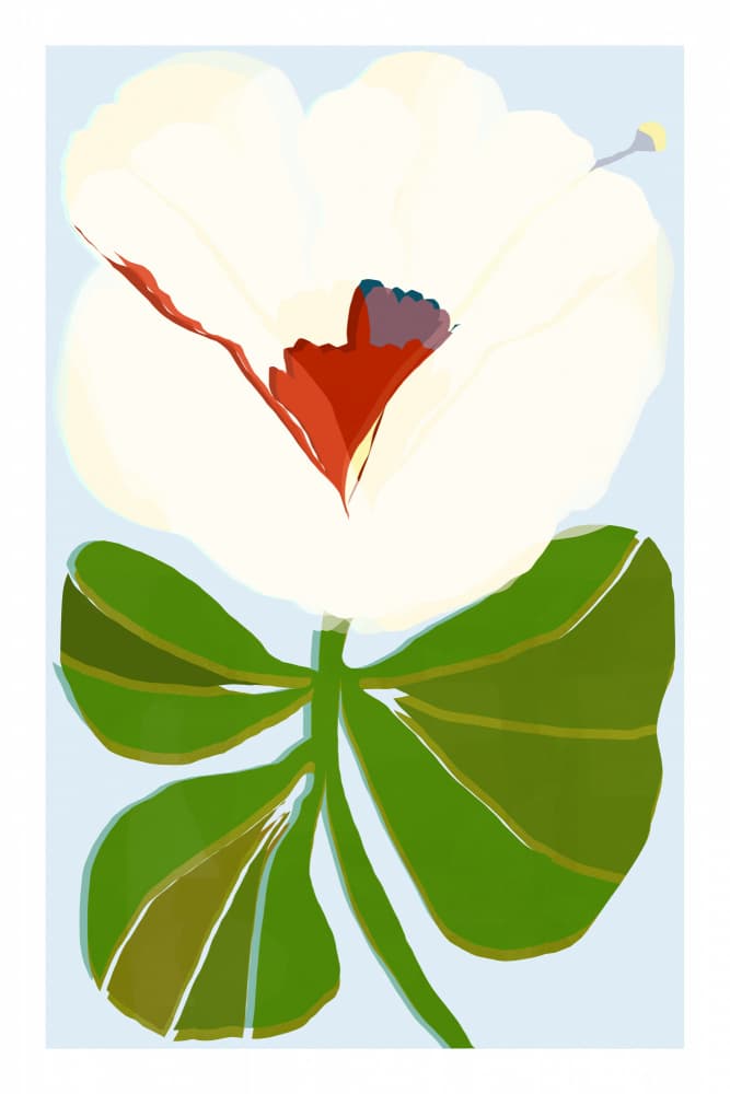 Stylized White Flower by casa cartissi — canvas wall art
