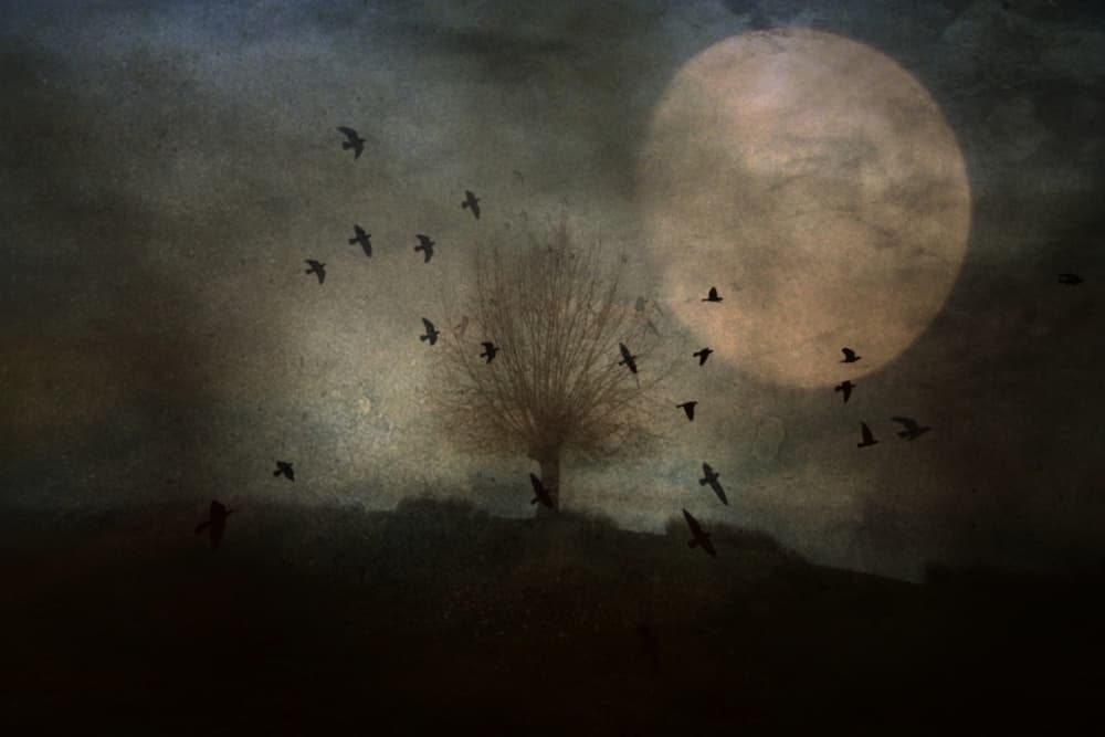 Mystic Moon Flight by Robert Fabrowski — canvas wall art