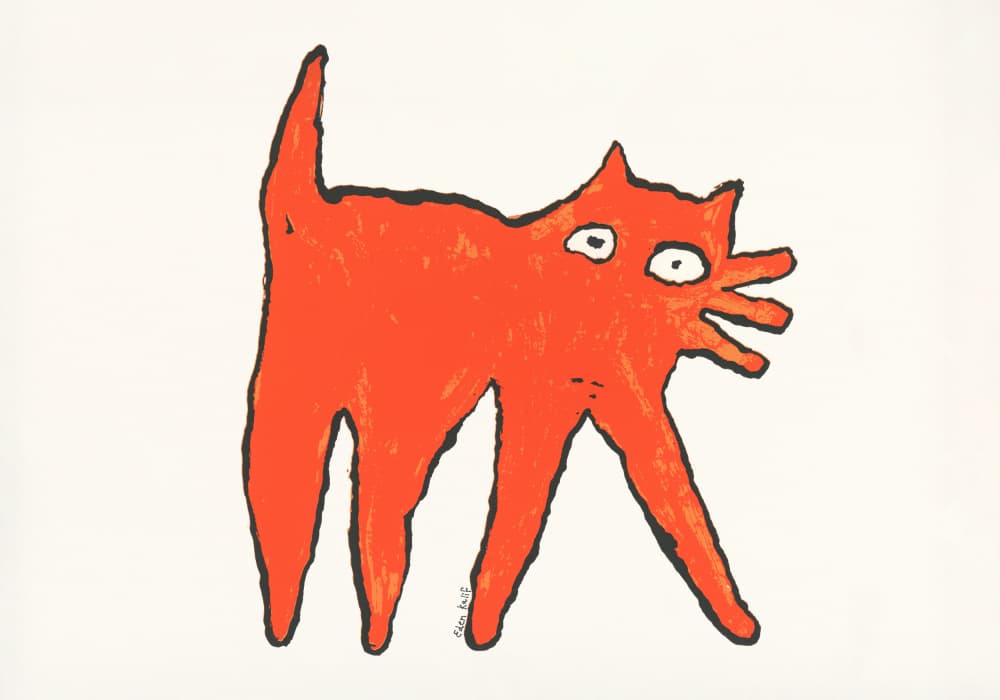 Orange Cat
