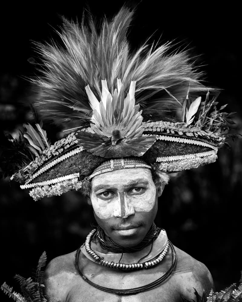 Feathered Tribal Gaze by Tori E Bohn — canvas wall art