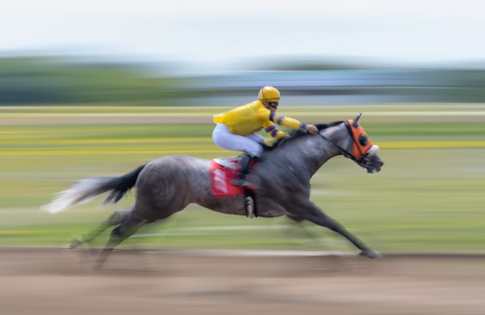Speedy Race Horse by Leeian Dai — canvas wall art