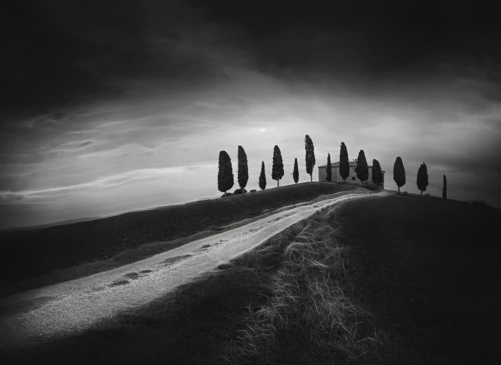 Winding Tuscan Hill by Todor Tanev — canvas wall art